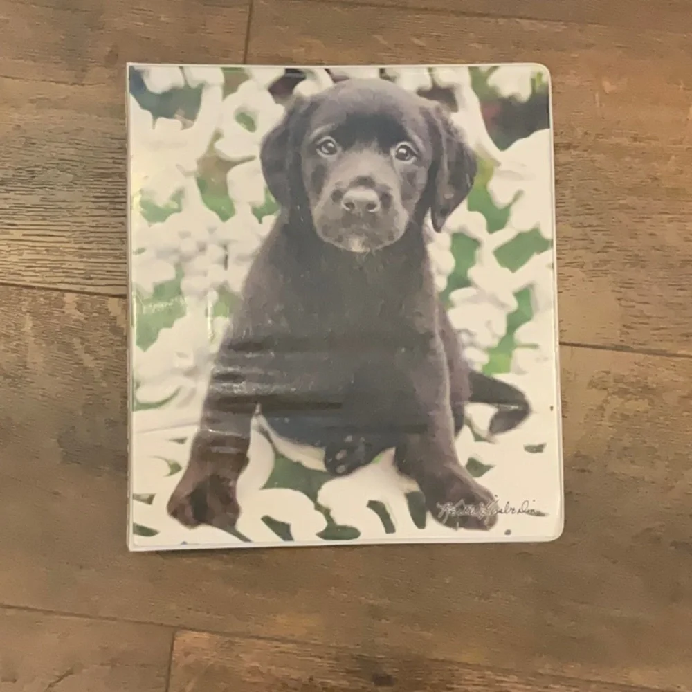 Class act Keith Kimberlin bundle 3 vintage binders puppy’s and kittens